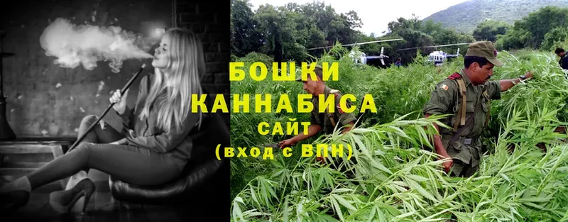 цена наркотик  Сертолово  Канабис LSD WEED 